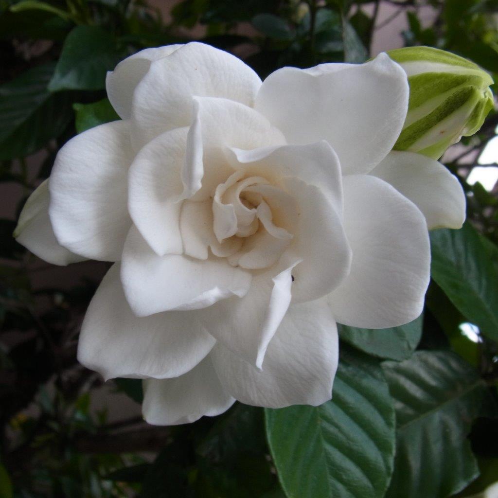 a0123465_22233490.jpg