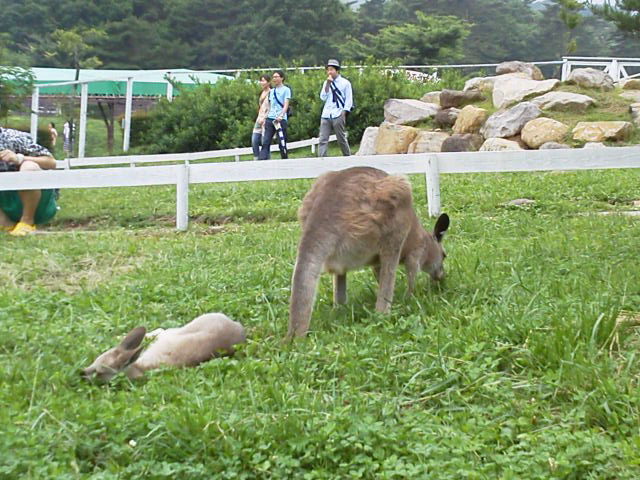 モッチー達が遊びに来てくれた！_f0208665_1761469.jpg