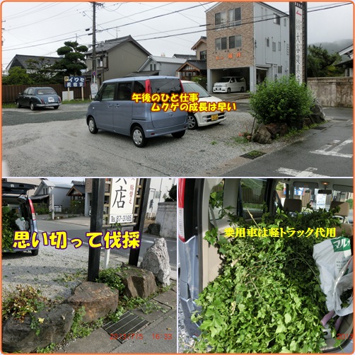 d0007071_528033.jpg