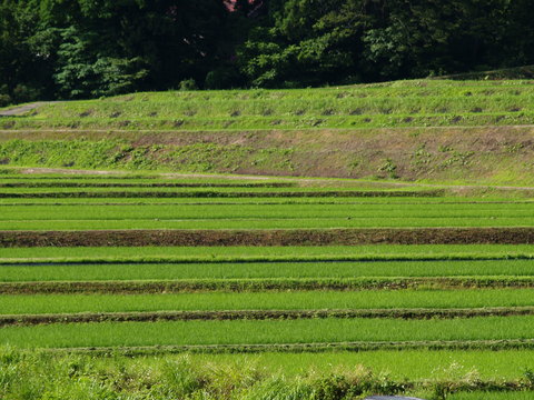 牧の自然を写した写真。_d0182179_16242983.jpg