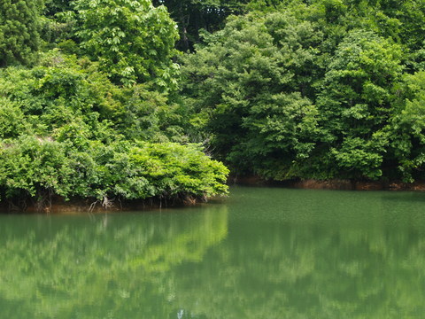 牧の自然を写した写真。_d0182179_16264044.jpg