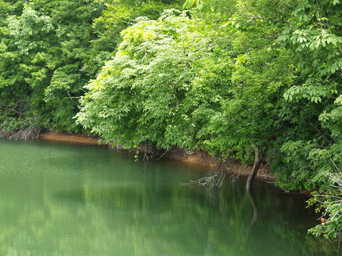 牧の自然を写した写真。_d0182179_16272773.jpg