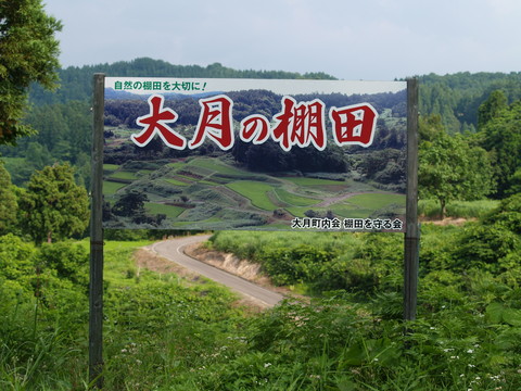 牧の自然を写した写真。_d0182179_16275293.jpg