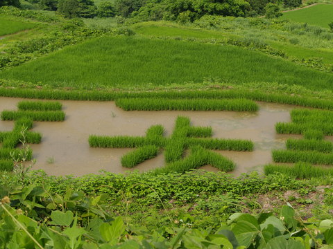 牧の自然を写した写真。_d0182179_16281134.jpg