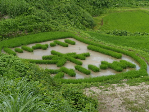 牧の自然を写した写真。_d0182179_1628312.jpg