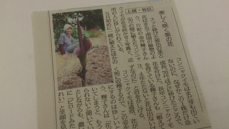 牧の自然を写した写真。_d0182179_18513179.jpg