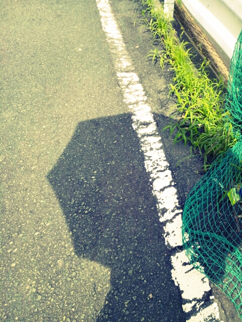 c0246783_20224486.jpg