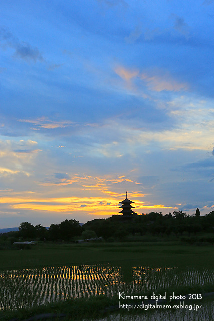 備中国分寺の夕景 7/5_c0083985_10175014.jpg