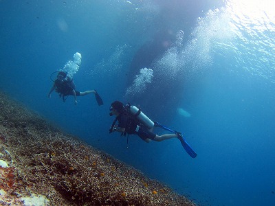 海良し!船良し!天気良し!_f0144385_2010195.jpg