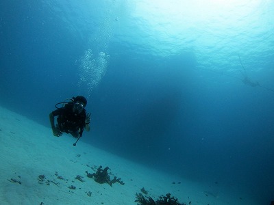 海良し!船良し!天気良し!_f0144385_2081880.jpg