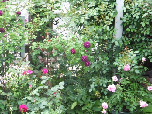 c0078586_21394592.jpg