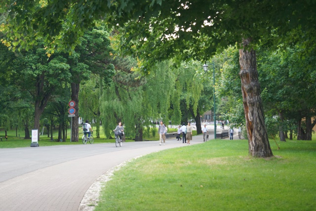d0181492_17154421.jpg