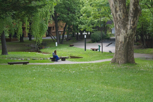 d0181492_17163228.jpg