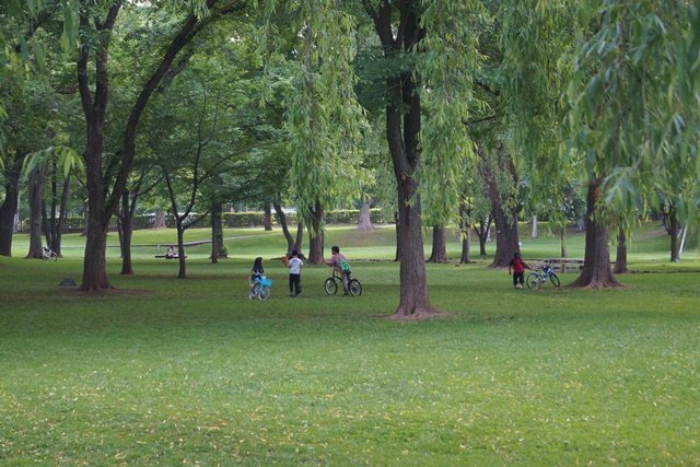 d0181492_17164915.jpg