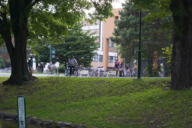 d0181492_17172122.jpg