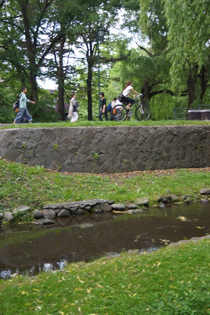 d0181492_171739.jpg