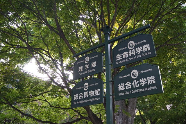 d0181492_17244769.jpg