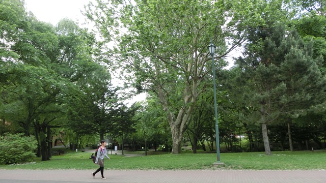 d0181492_17273691.jpg