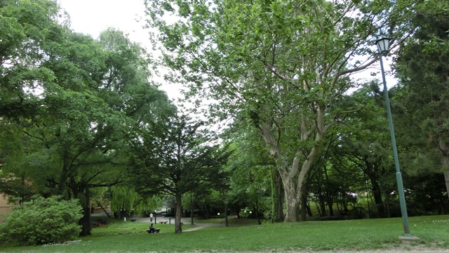 d0181492_17275060.jpg