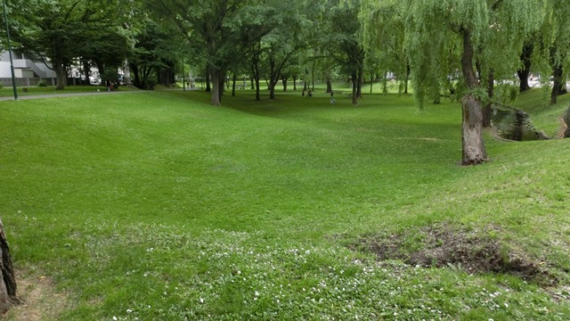 d0181492_1728341.jpg