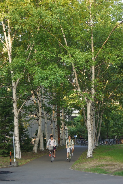 d0181492_17365130.jpg