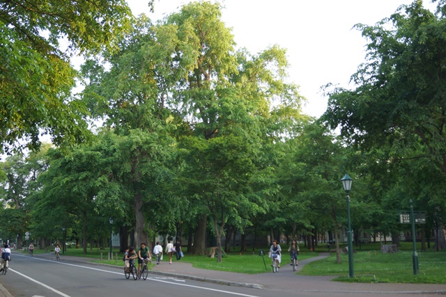 d0181492_17372015.jpg