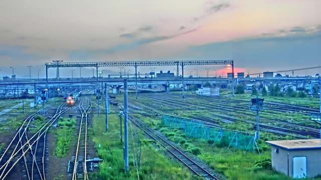 d0181492_1953691.jpg