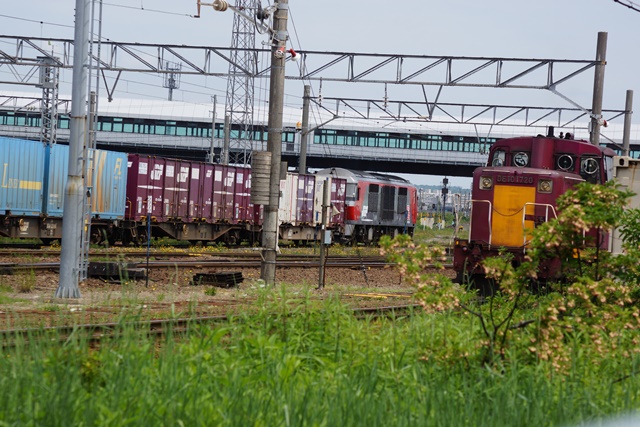 d0181492_20304521.jpg