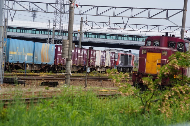 d0181492_20312219.jpg