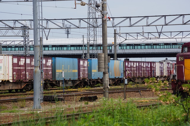 d0181492_20313648.jpg