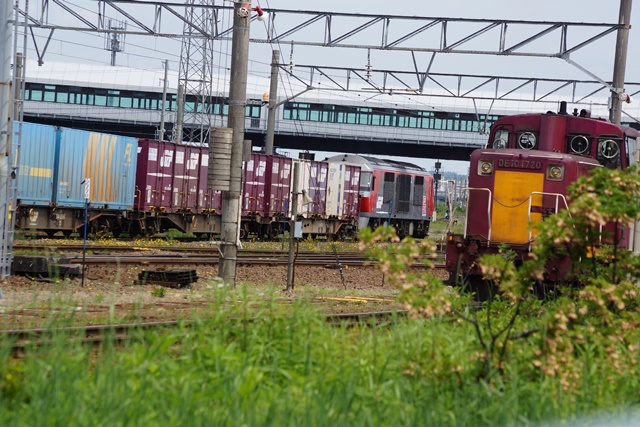 d0181492_2031551.jpg
