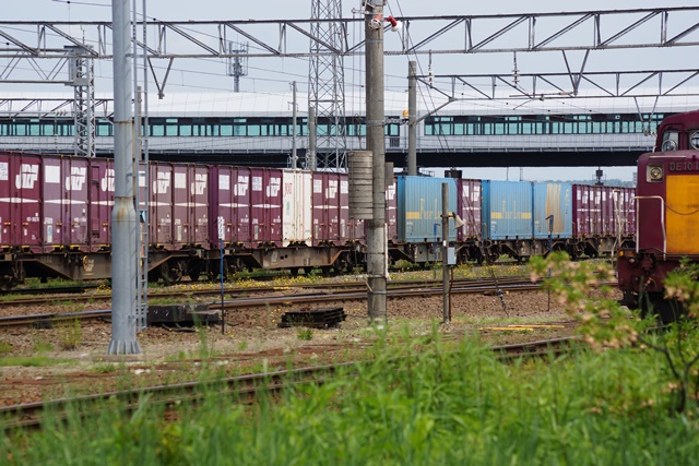 d0181492_203201.jpg