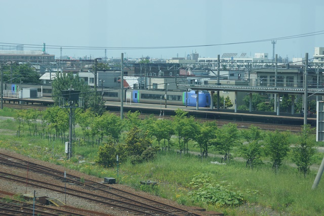 d0181492_20523989.jpg