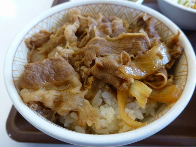 すき家のおろしポン酢牛丼 伊丹瑞穂店_c0118393_19175045.jpg