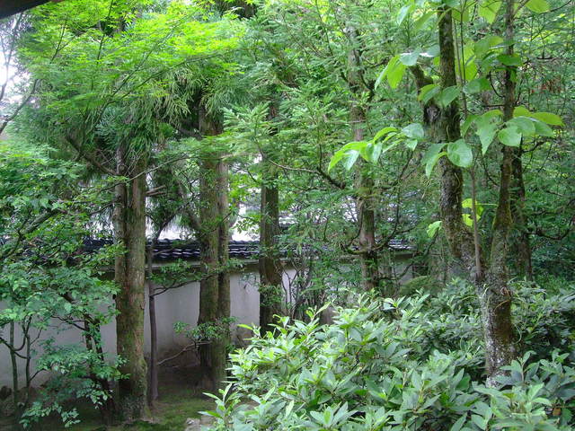 f0100593_85031.jpg