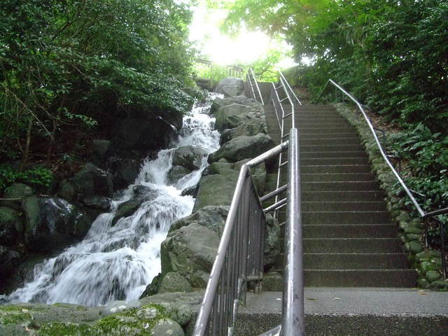 f0100593_8504911.jpg