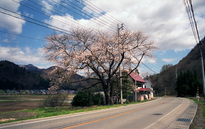 c0214494_045840.jpg