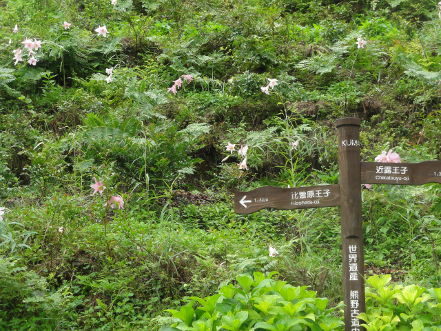 c0125501_238126.jpg