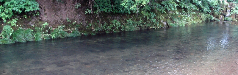 f0266202_0403642.jpg