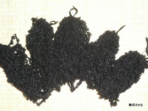 b0230805_04037.jpg