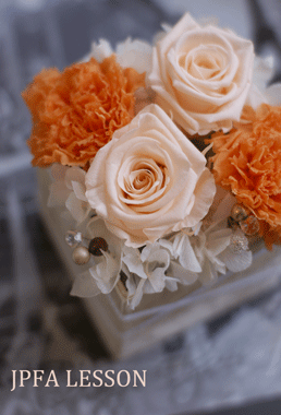 b0111306_23303336.gif