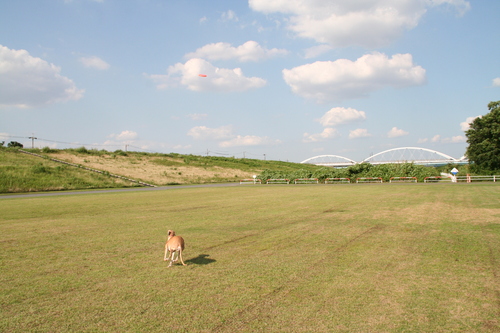 b0118209_0121038.jpg