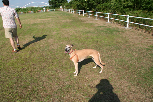 b0118209_062910.jpg