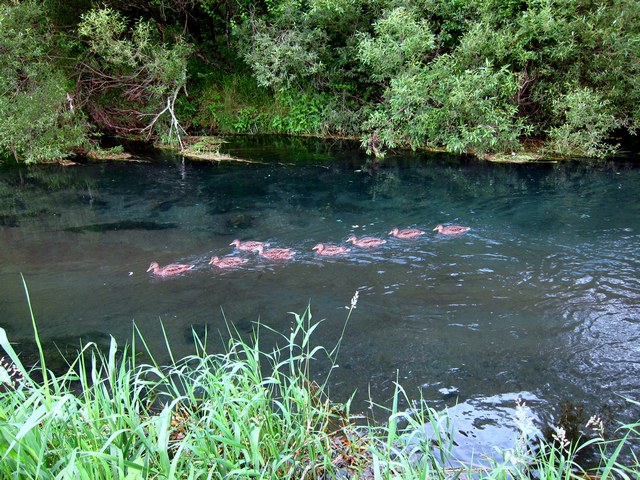f0137709_22551541.jpg