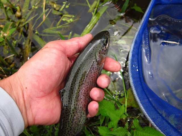 f0137709_23283725.jpg