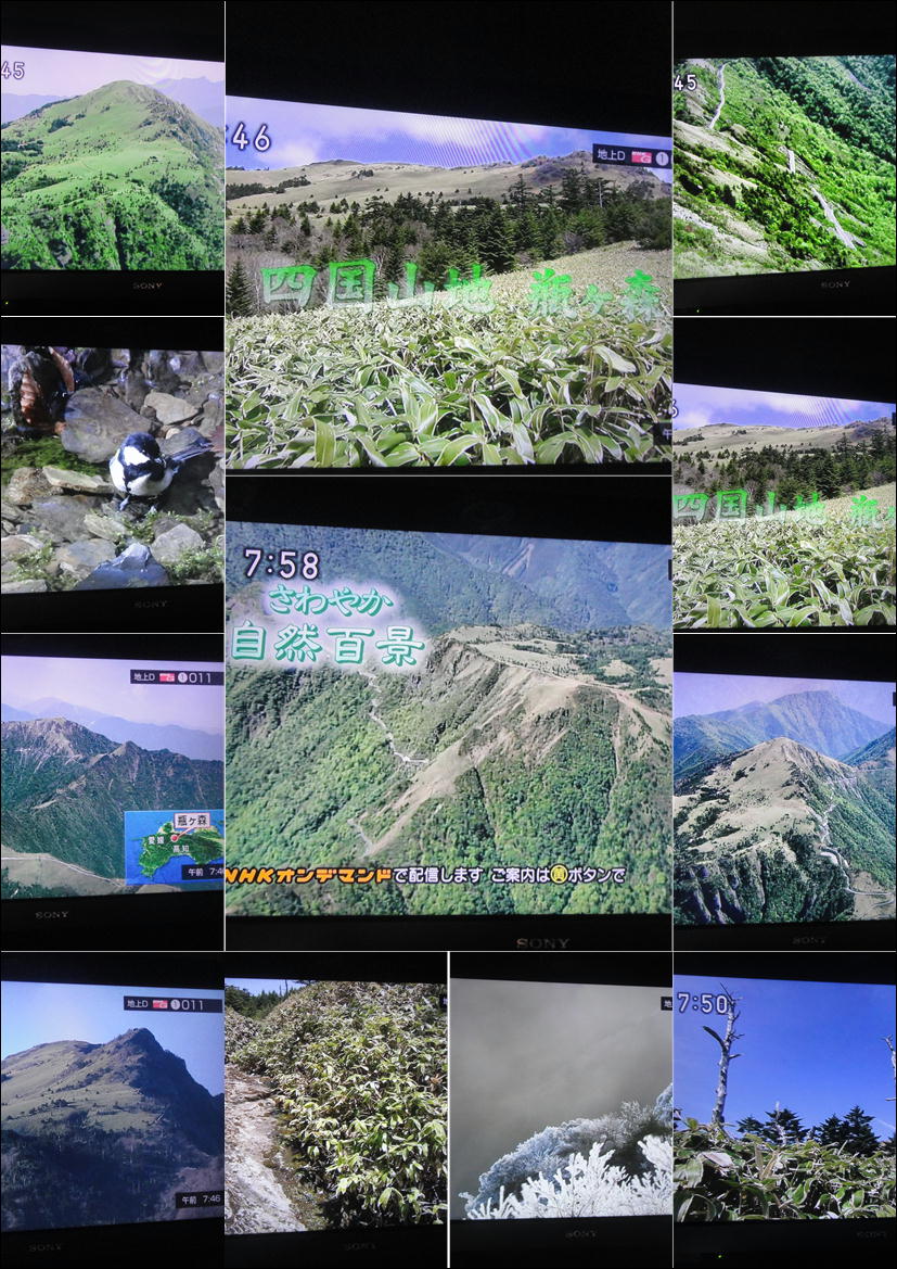 四国山地 瓶ヶ森 さわやか自然百景で放映みました ２０１３ ７ ７ 徳ちゃん便り