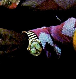 c0284210_18442427.jpg