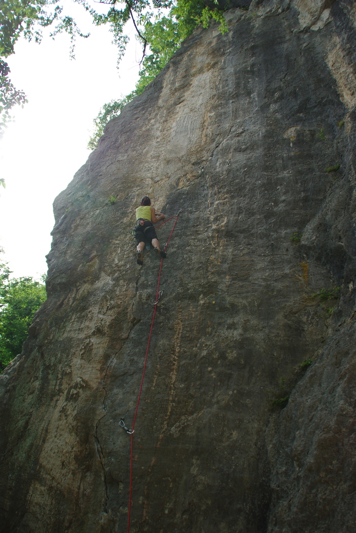 f0195813_6524642.jpg