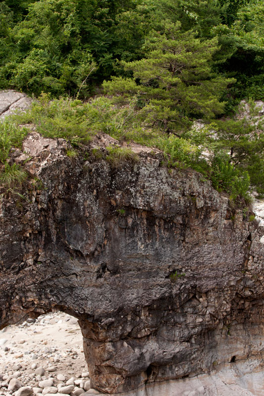a0278914_15214345.jpg