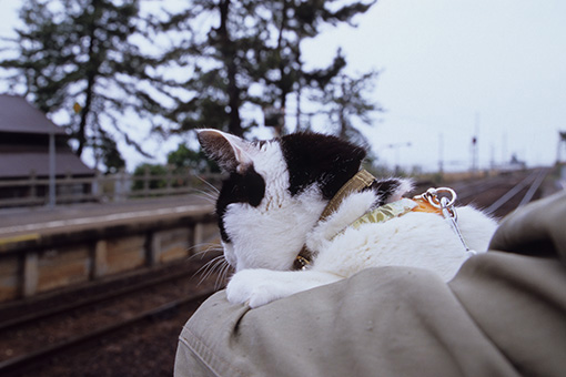 雨晴駅・関西2013_b0259218_1463139.jpg